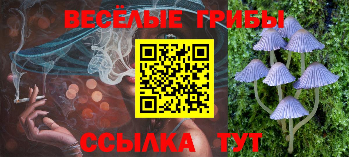 Псилоцибиновые грибы прущие грибы  Вход с VPN  Лабинск 